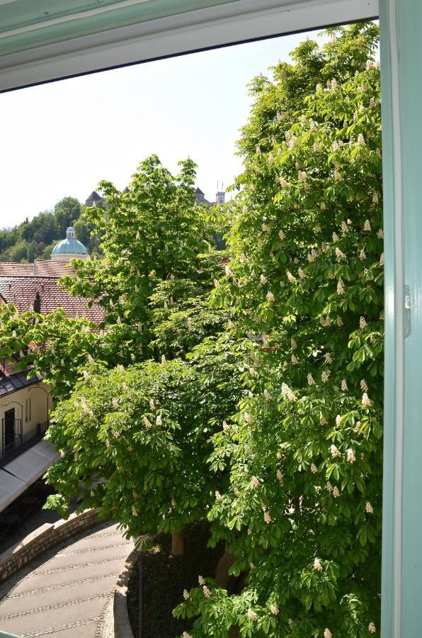 I Design Studio Ljubljana Dış mekan fotoğraf