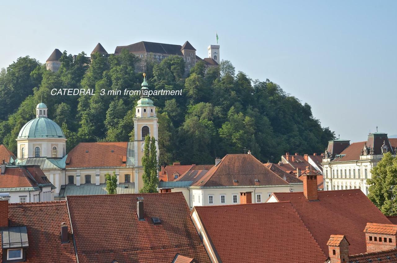 I Design Studio Ljubljana Dış mekan fotoğraf
